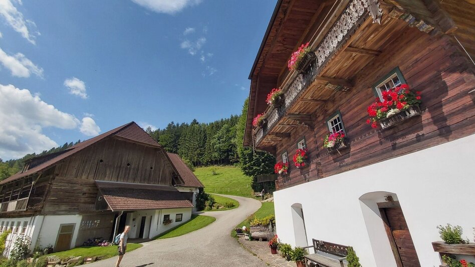 Wanderung Weg der Labyrinthe, Birkfeld - Touren-Impression #2.7 | © Oststeiermark Tourismus