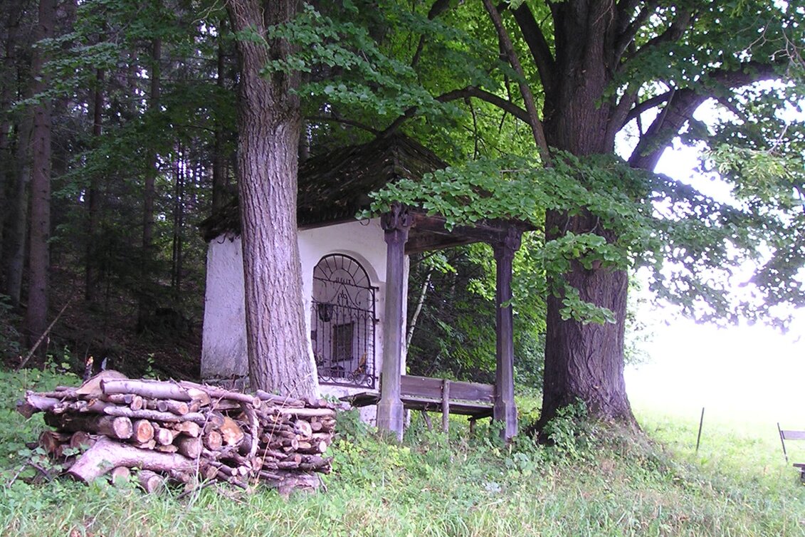 Radfahren Niederung - Tal - Touren-Impression #1 | © Tourismusverband ERZBERG LEOBEN