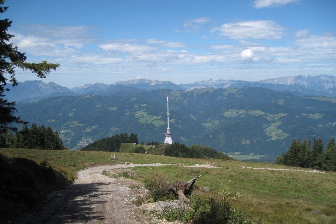 Mountainbike Mountainbike-Strecke Mugel - Touren-Impression #1 | © Tourismusverband ERZBERG LEOBEN