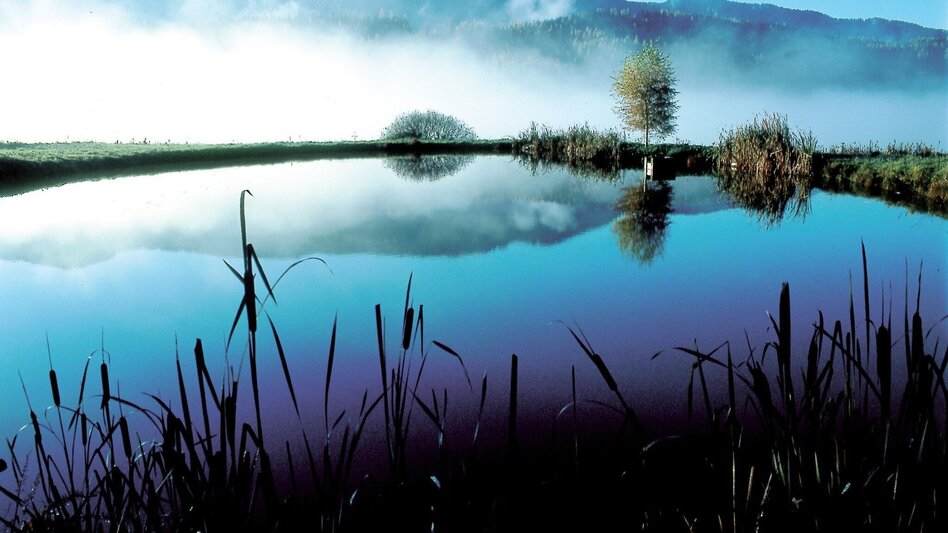 Bike Riding Aflenz - Thörl Tour - Touren-Impression #2.1 | © TV Hochsteiermark