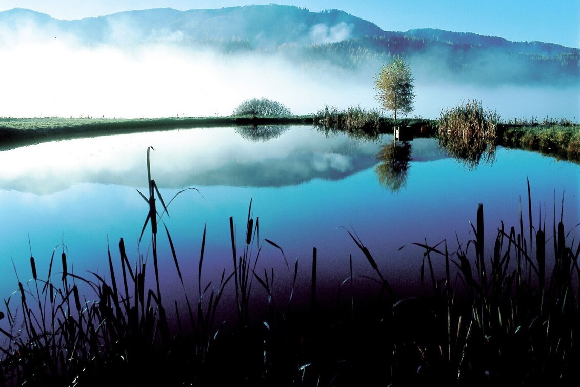 Bike Riding Aflenz - Thörl Tour - Touren-Impression #1 | © TV Hochsteiermark