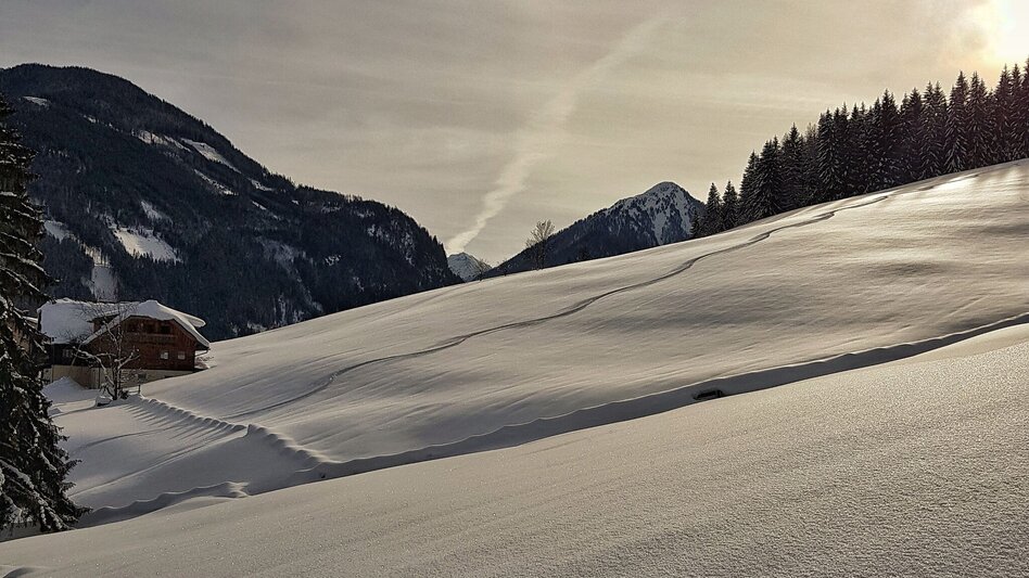 Winter Hiking Winter walk from Rohrmoos to Schladming - Touren-Impression #2.3 | © Gerhard Pilz