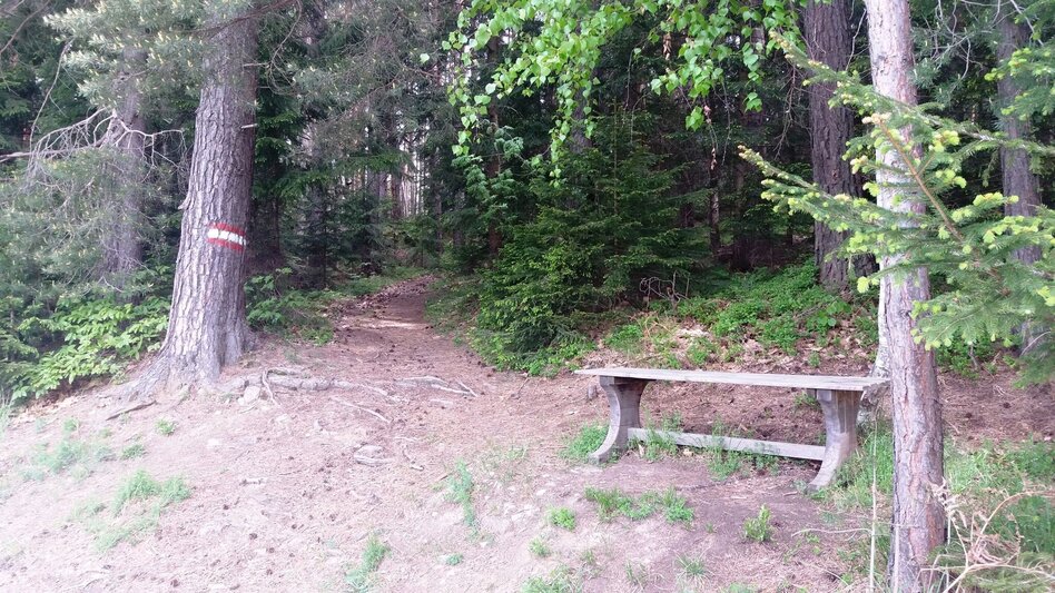 Wanderung Teigitsch-Wartenstein-Runde (über Krottendorf) - Touren-Impression #2.4 | © Tourismusbüro Lipizzanerheimat