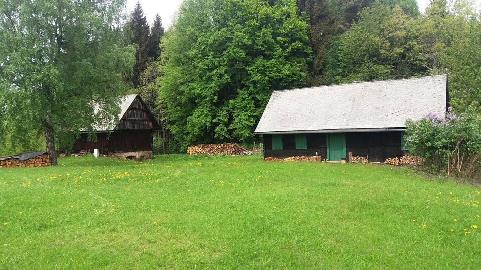 Wanderung Teigitsch-Wartenstein-Runde (über Krottendorf) - Touren-Impression #2.6 | © Tourismusbüro Lipizzanerheimat