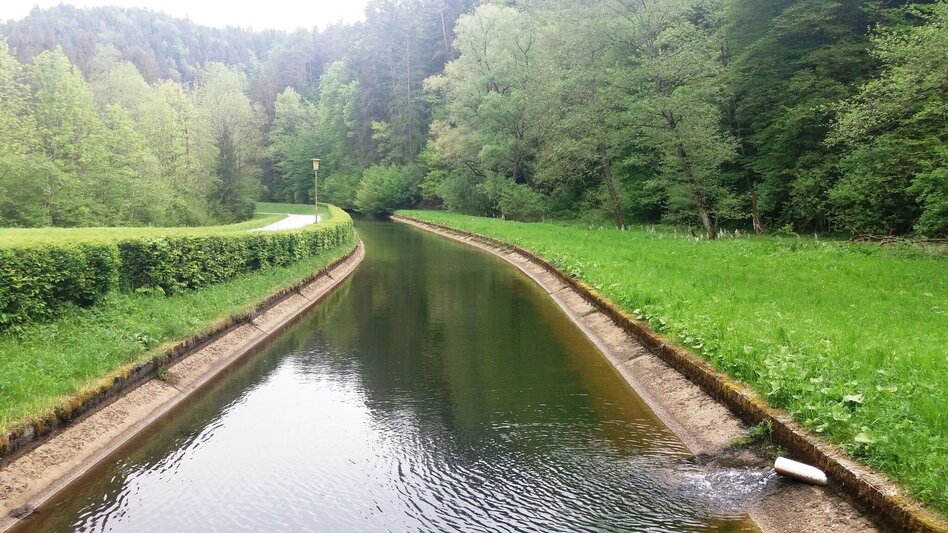 Wanderung Teigitsch-Wartenstein-Runde (über Krottendorf) - Touren-Impression #2.9 | © Tourismusbüro Lipizzanerheimat