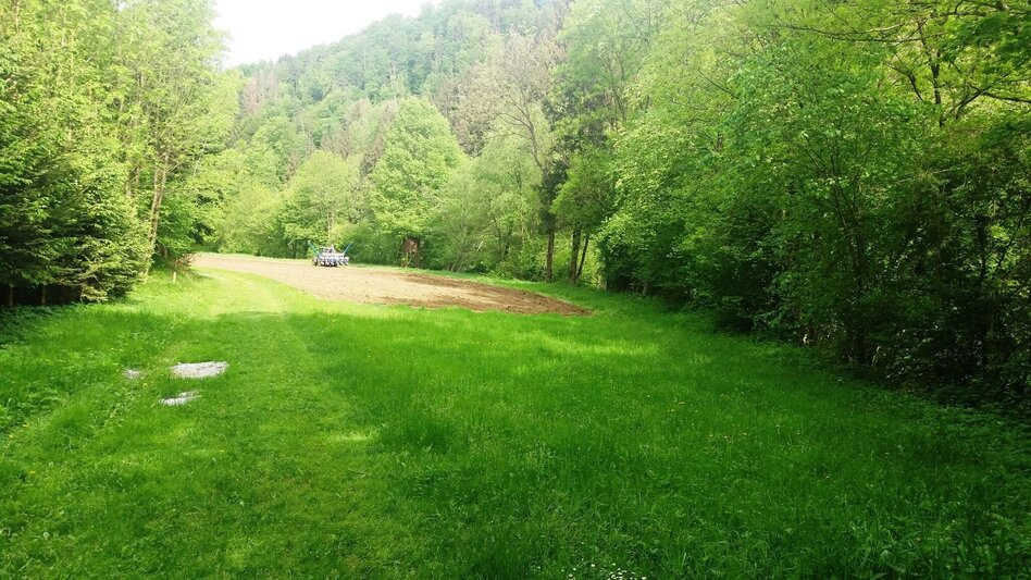 Wanderung Teigitsch-Wartenstein-Runde (über Krottendorf) - Touren-Impression #2.13 | © Tourismusbüro Lipizzanerheimat