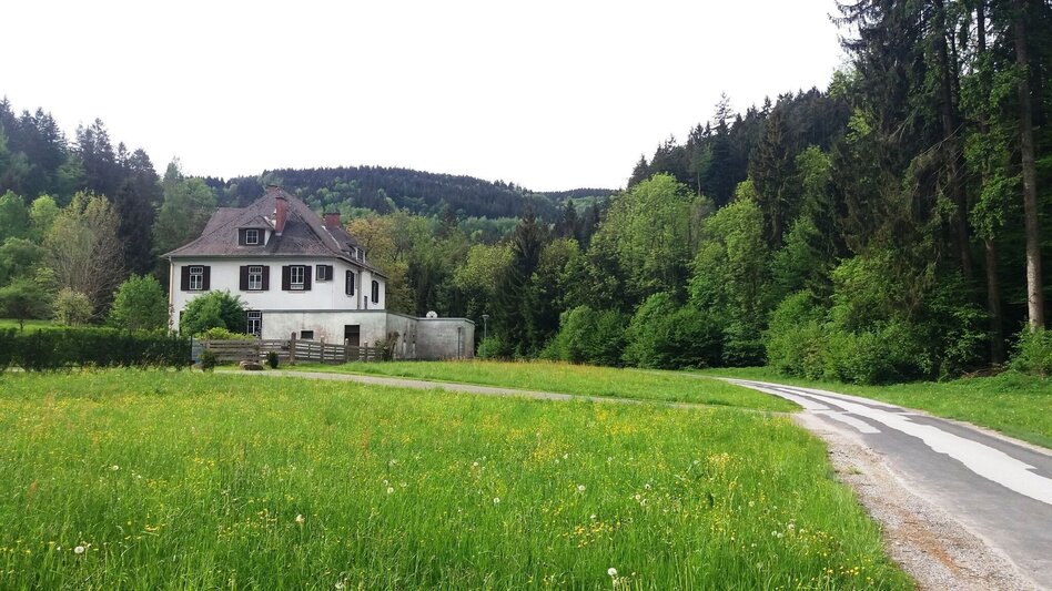 Wanderung Teigitsch-Wartenstein-Runde (über Krottendorf) - Touren-Impression #2.15 | © Tourismusbüro Lipizzanerheimat