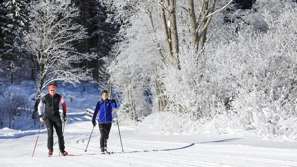 Ski nordic skating Almenrunde XC Skating Trail - Touren-Impression #2.1 | © Tourismusverband Schladming - Martin Huber
