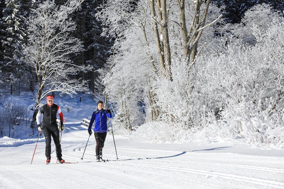 Ski nordic skating Almenrunde XC Skating Trail - Touren-Impression #1 | © Tourismusverband Schladming - Martin Huber