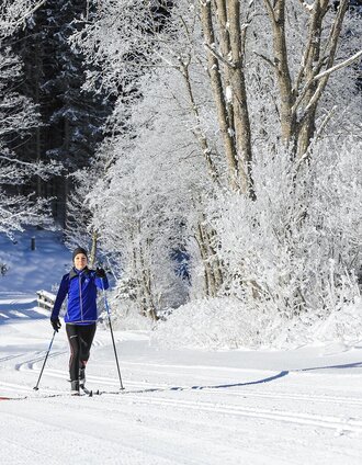 Running next to each other on Almenrunde (skating) and Kristallloipe (classical) | Gerhard Pilz | © Tourismusverband Schladming - Martin Huber