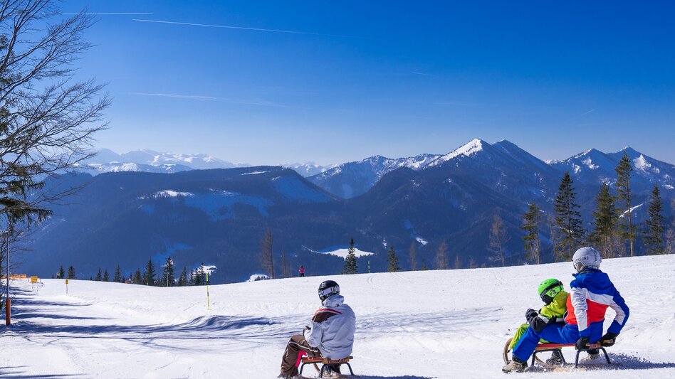 Sledding Toboggan run Bürgeralpe Mariazell - Touren-Impression #2.2 | © Mariazeller Bürgeralpe