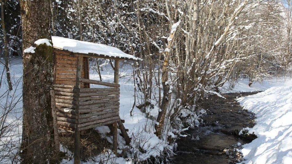 Langlauf klassisch Krumpen Loipe - Touren-Impression #2.18 | © Tourismusverband ERZBERG LEOBEN