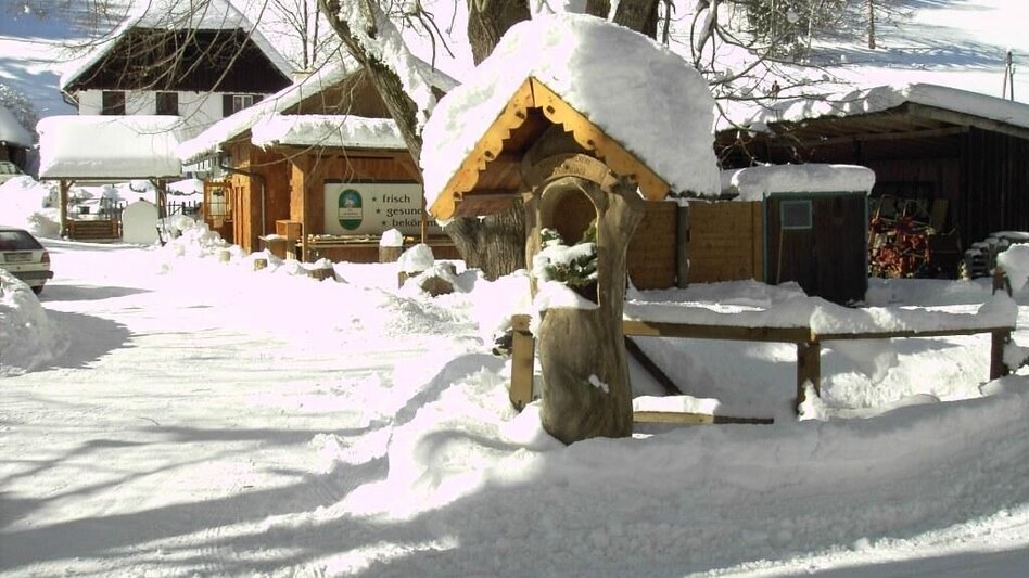 Langlauf klassisch Krumpen Loipe - Touren-Impression #2.20 | © Tourismusverband ERZBERG LEOBEN