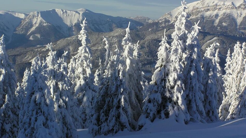 Schneeschuh Auf die Ganzalm - Touren-Impression #2.2 | © TV Hochsteiermark