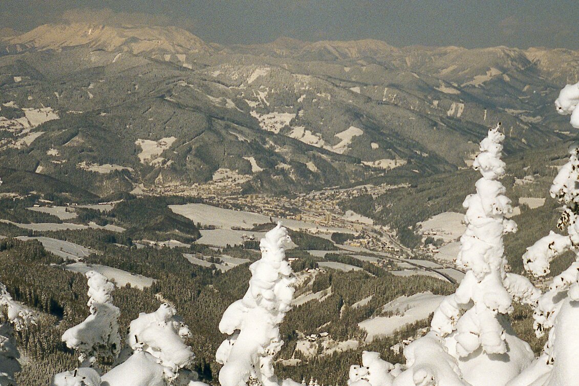 Sledding Rodelstrecke Ganzalm - Bärenkogelsattel - Touren-Impression #1 | © TV Hochsteiermark