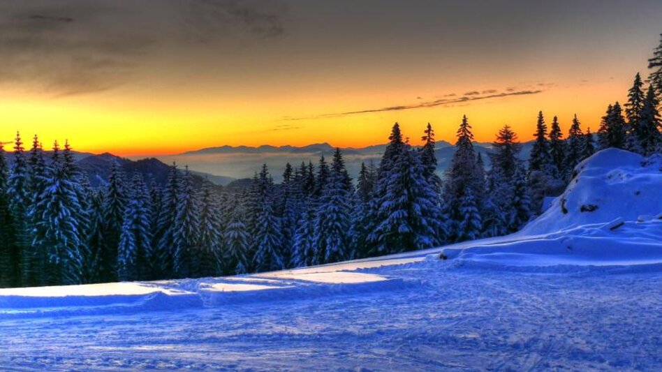 Sledding Rodelstrecke Ganzalm - Bärenkogelsattel - Touren-Impression #2.2 | © TV Hochsteiermark