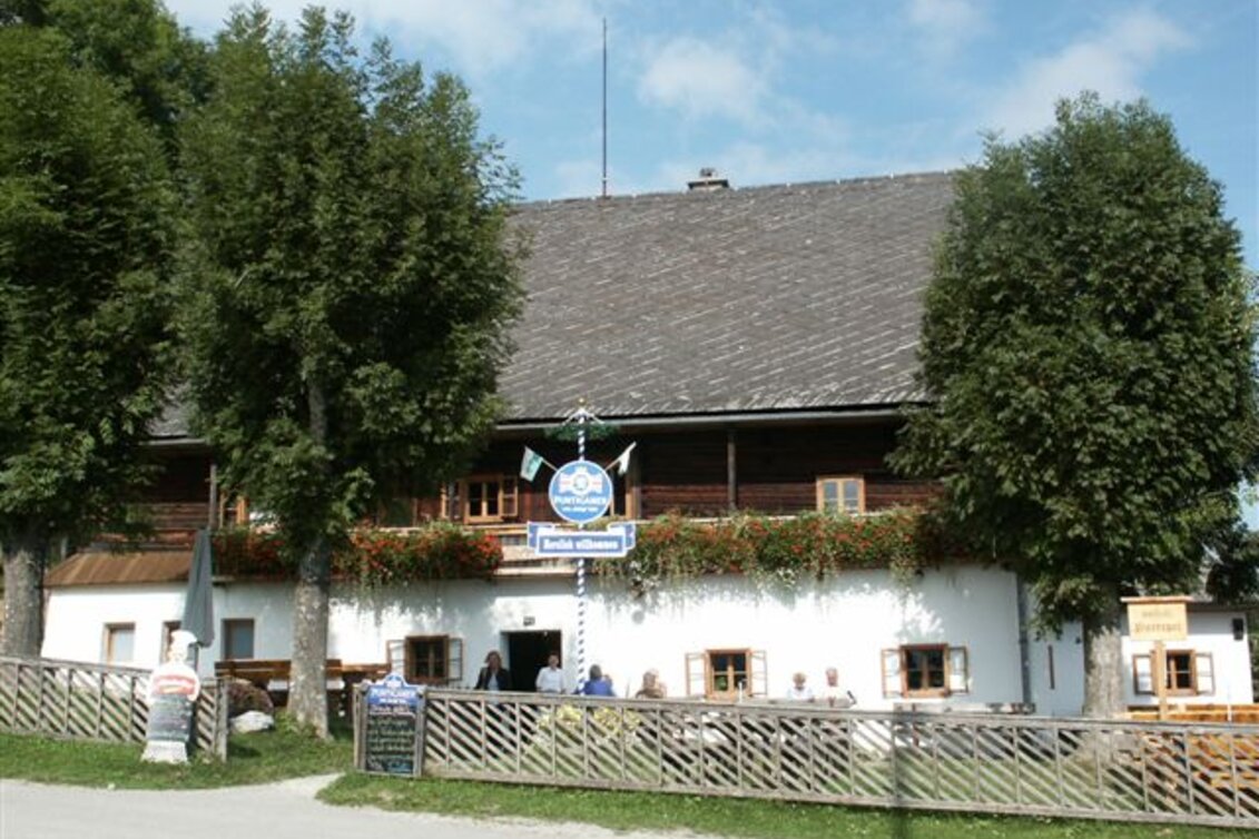 Sledding Naturrodelbahn Pierergut - Touren-Impression #1 | © Fotograf: Erich Pateter