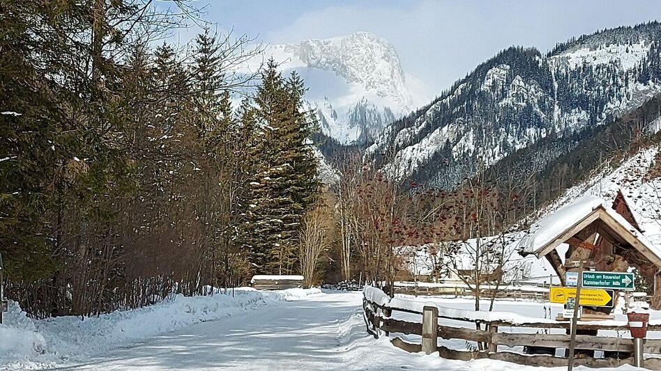 Winter Hiking Winter hike to Schwabenbartl. - Touren-Impression #2.2 | © TV Hochsteiermark