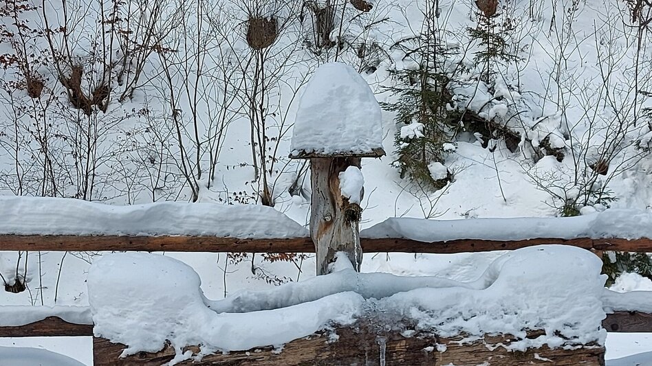 Winter Hiking Winter hike to Schwabenbartl. - Touren-Impression #2.4 | © TV Hochsteiermark