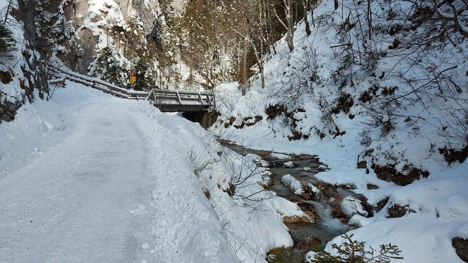 Winter Hiking Winter hike to Schwabenbartl. - Touren-Impression #2.5 | © TV Hochsteiermark