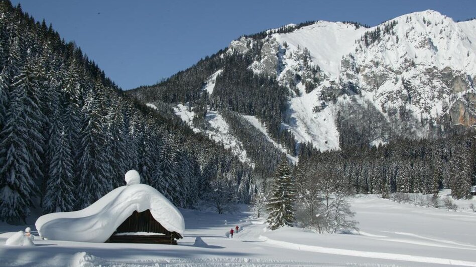 Ski-nordic-classic cross-country trail Eisenerzer Ramsau - Touren-Impression #2.1 | © Tourismusverband ERZBERG LEOBEN