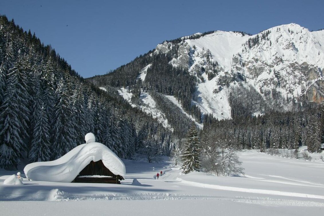 Ski-nordic-classic cross-country trail Eisenerzer Ramsau - Touren-Impression #1 | © Tourismusverband ERZBERG LEOBEN