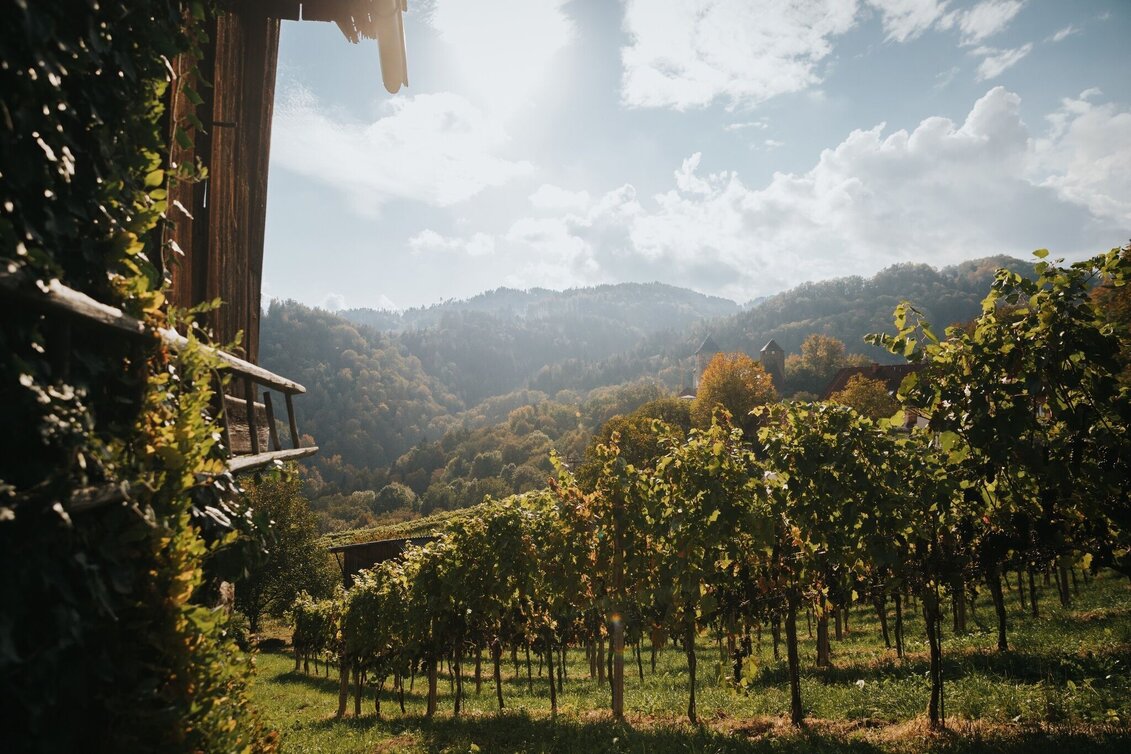 Wanderung Rundweg über Schloss Wildbach - F3 - Touren-Impression #1 | © TVB/Südsteiermark/Lupi Spuma