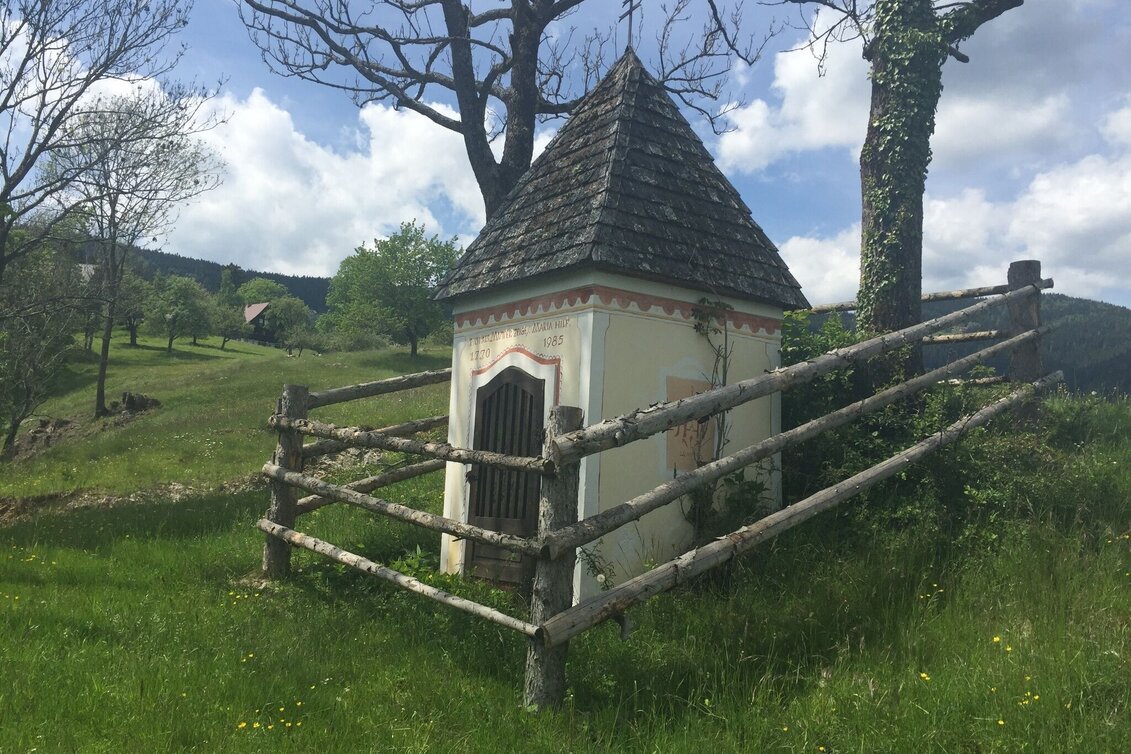 Wanderung KERN-BUAM Panorama-Wanderweg: Variante B - Touren-Impression #1 | © Region Graz