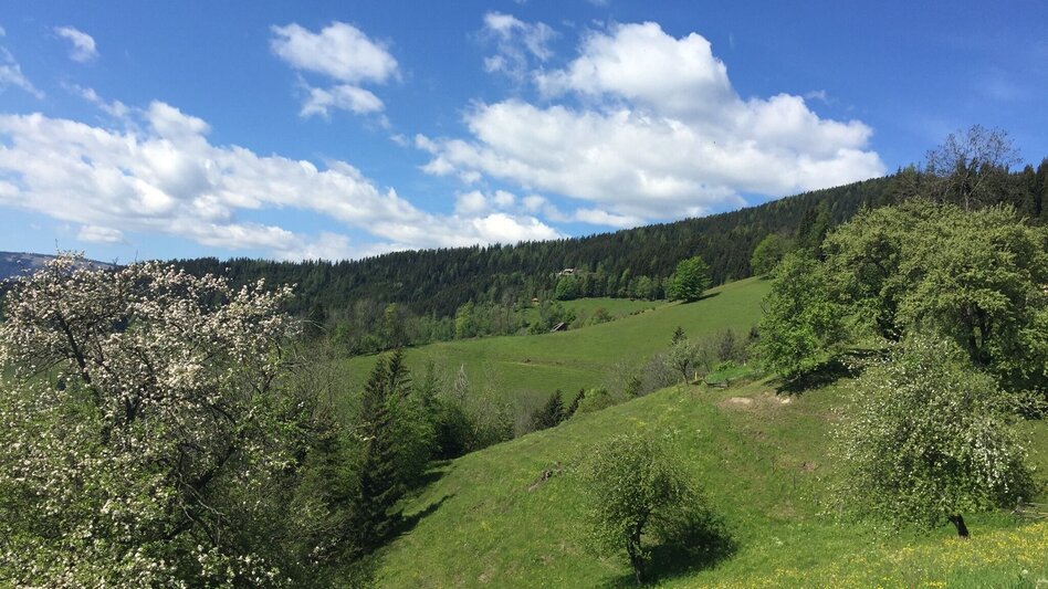 Wanderung KERN-BUAM Panorama-Wanderweg: Variante A - Touren-Impression #2.1 | © Region Graz
