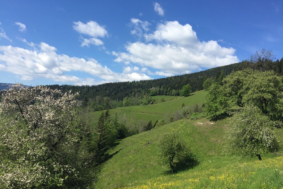 Wanderung KERN-BUAM Panorama-Wanderweg: Variante A - Touren-Impression #1 | © Region Graz