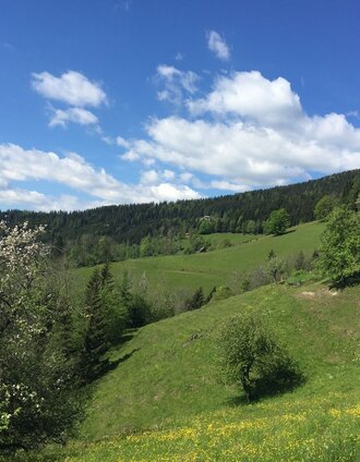 Ausblick | Tourismusverband Lipizzanerheimat | © Region Graz