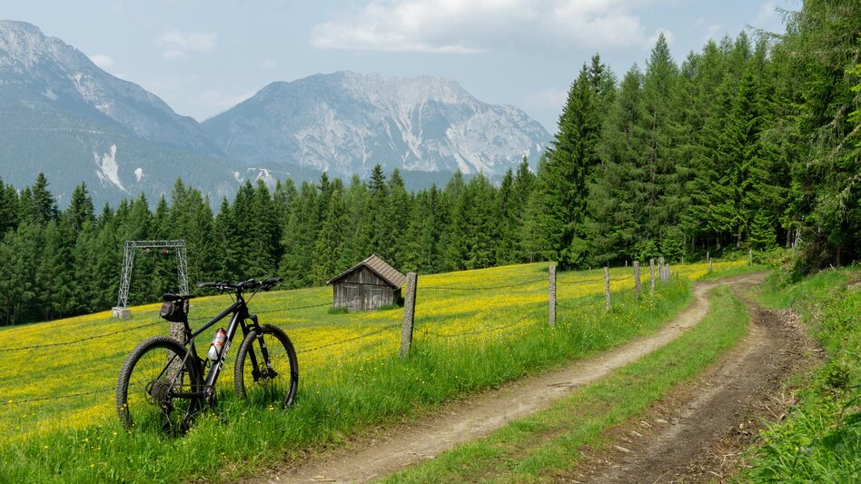 Mountainbike Aich Runde | 311 - Touren-Impression #2.10