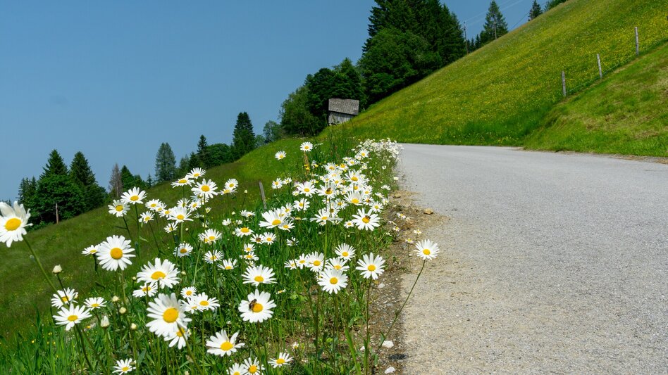 Mountainbike Aich Runde | 311 - Touren-Impression #2.11