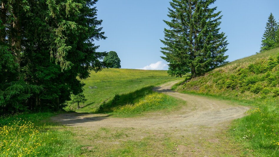 Mountainbike Aich Runde | 311 - Touren-Impression #2.13