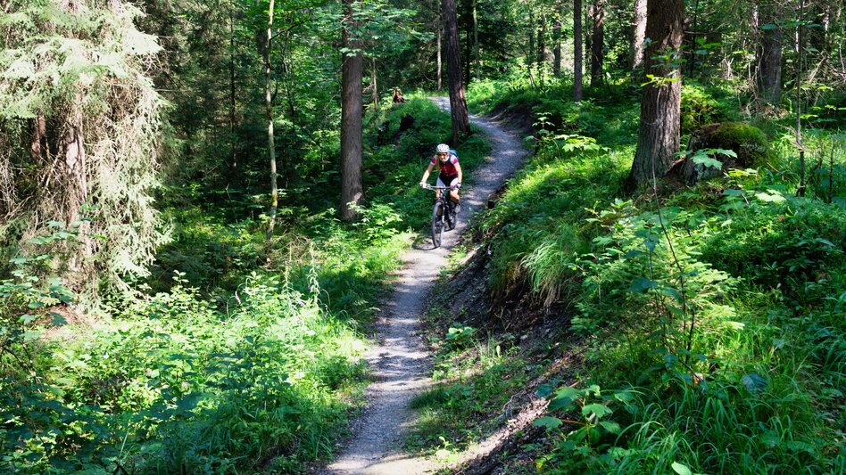 Mountainbike Aich Runde | 311 - Touren-Impression #2.15