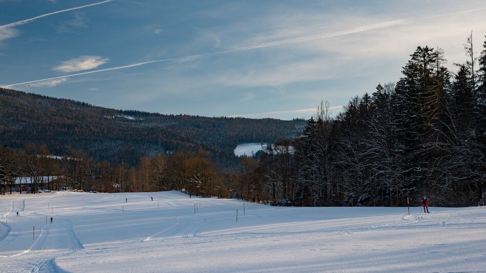 Langlauf klassisch Panoramaloipe Mürzzuschlag - Ganz - Touren-Impression #2.2 | © TV Hochsteiermark