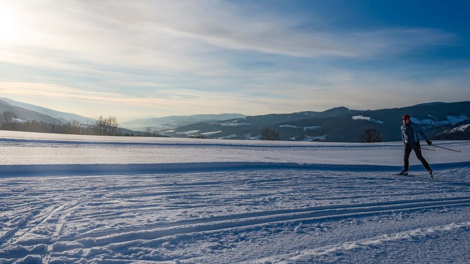 Langlauf klassisch Panoramaloipe Mürzzuschlag - Ganz - Touren-Impression #2.3 | © TV Hochsteiermark