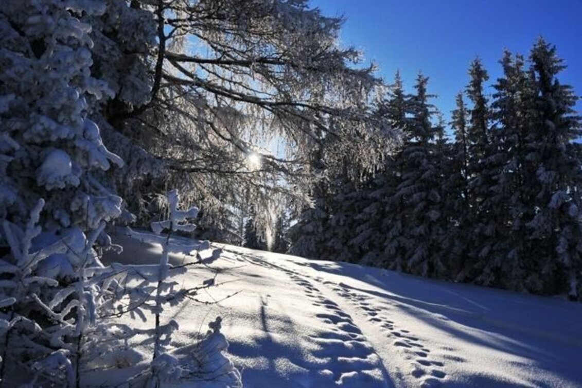 Winter Hiking Fischbach winter hiking trail on the Höhenweg ,Fischbach - Touren-Impression #1 | © Oststeiermark Tourismus