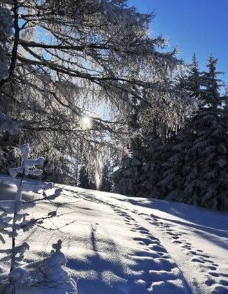 Winterimpressionen in der Region Joglland-Waldheimat | (c) Andreas Steininger | © Oststeiermark Tourismus