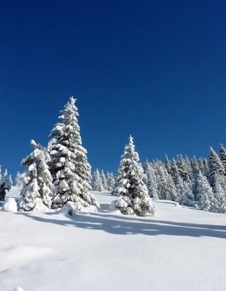 Winterlandschaft Joglland-Waldheimat | (c) Andreas Steininger | © Oststeiermark Tourismus