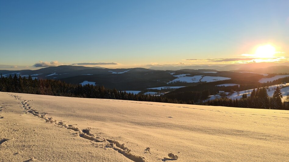 Winter Hiking Fischbach winter walk, Fischbach - Touren-Impression #2.3