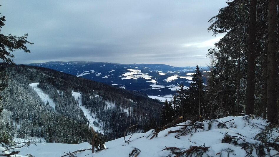Snowshoe walking Teufelstein - A fabulous snowshoe hike, Fischbach - Touren-Impression #2.5 | © Community
