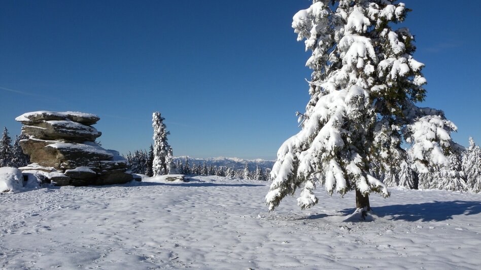 Snowshoe walking Teufelstein - A fabulous snowshoe hike, Fischbach - Touren-Impression #2.6 | © TV Fischbach