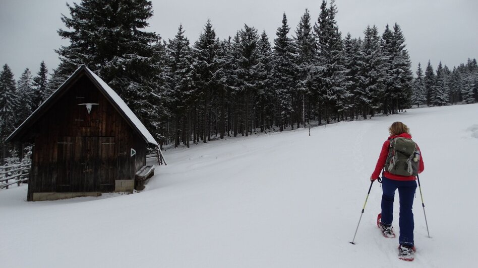 Snowshoe walking Teufelstein - A fabulous snowshoe hike, Fischbach - Touren-Impression #2.8 | © WEGES