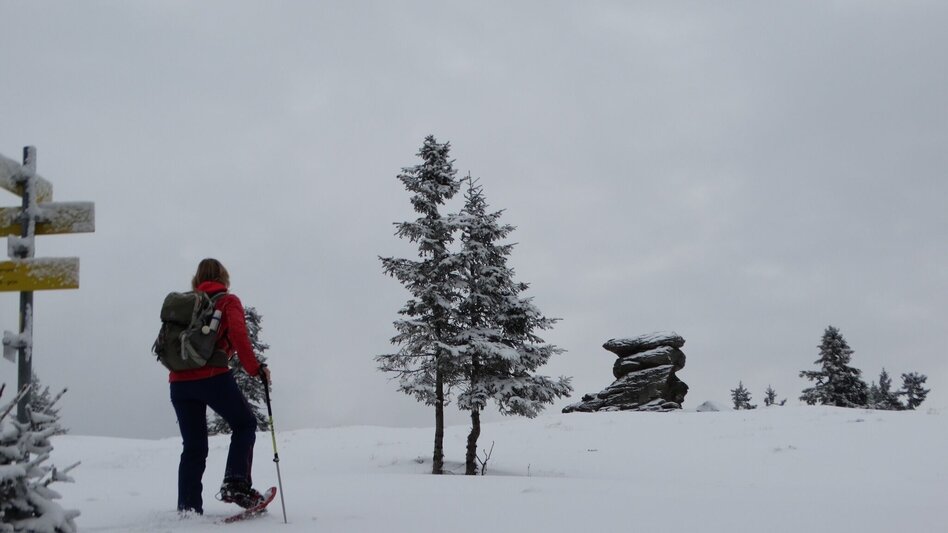 Snowshoe walking Teufelstein - A fabulous snowshoe hike, Fischbach - Touren-Impression #2.9 | © WEGES