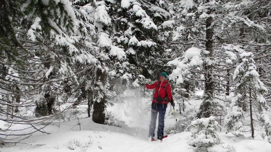 Snowshoe walking Teufelstein - A fabulous snowshoe hike, Fischbach - Touren-Impression #2.12 | © WEGES