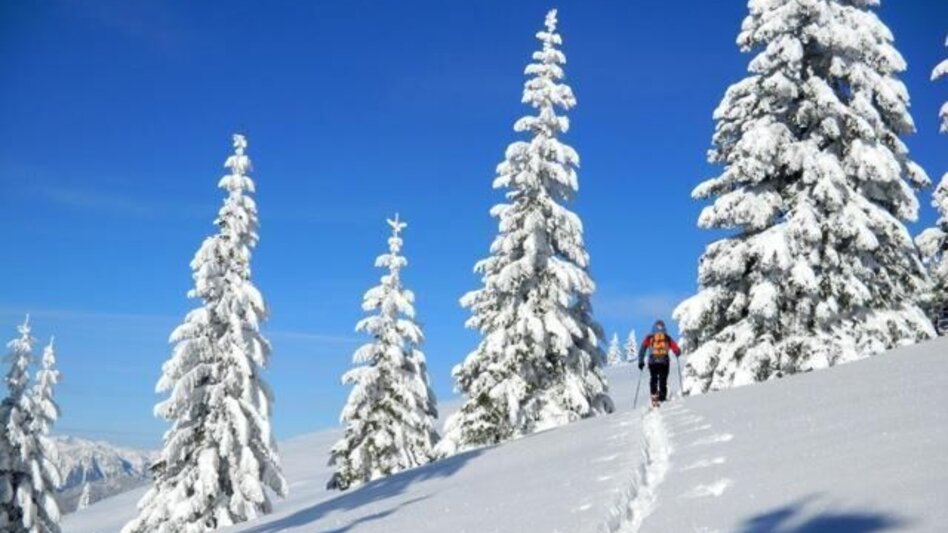 Snowshoe walking Winter fairytale meadow and Reithkogel, Fischbach - Touren-Impression #2.1 | © Oststeiermark Tourismus