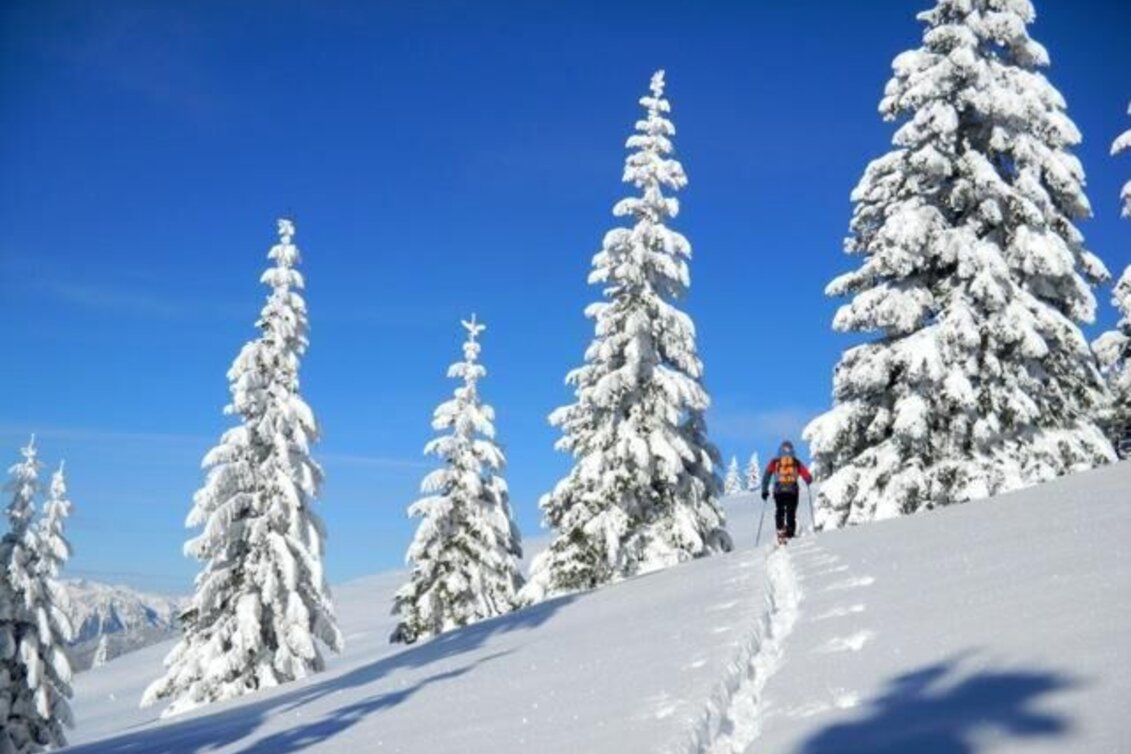 Snowshoe walking Winter fairytale meadow and Reithkogel, Fischbach - Touren-Impression #1 | © Oststeiermark Tourismus