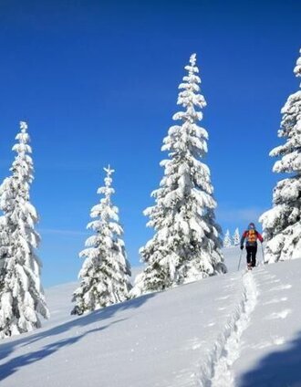 Schneehschuwanderung rund um Fischbach | (c) Andreas Steininger | © Oststeiermark Tourismus