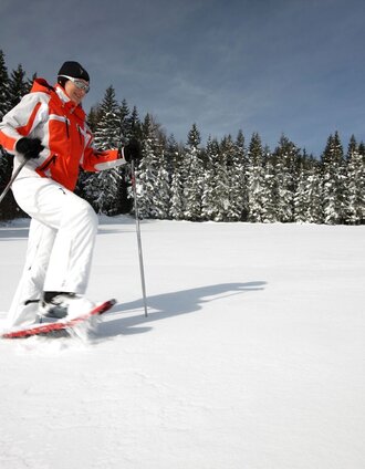 Schneeschuhwanderung | TV Joglland-Waldheimat | © Stiermark Tourismus, Schiffer-Symbol